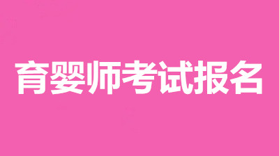 2022年育婴师考试时间信息网,现在可以报名了吗